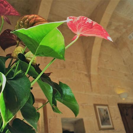 Encanto Vegetarian Bed & Breakfast Bed & Breakfast Xaghra Bagian luar foto