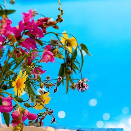 Encanto Vegetarian Bed & Breakfast Bed & Breakfast Xaghra Bagian luar foto
