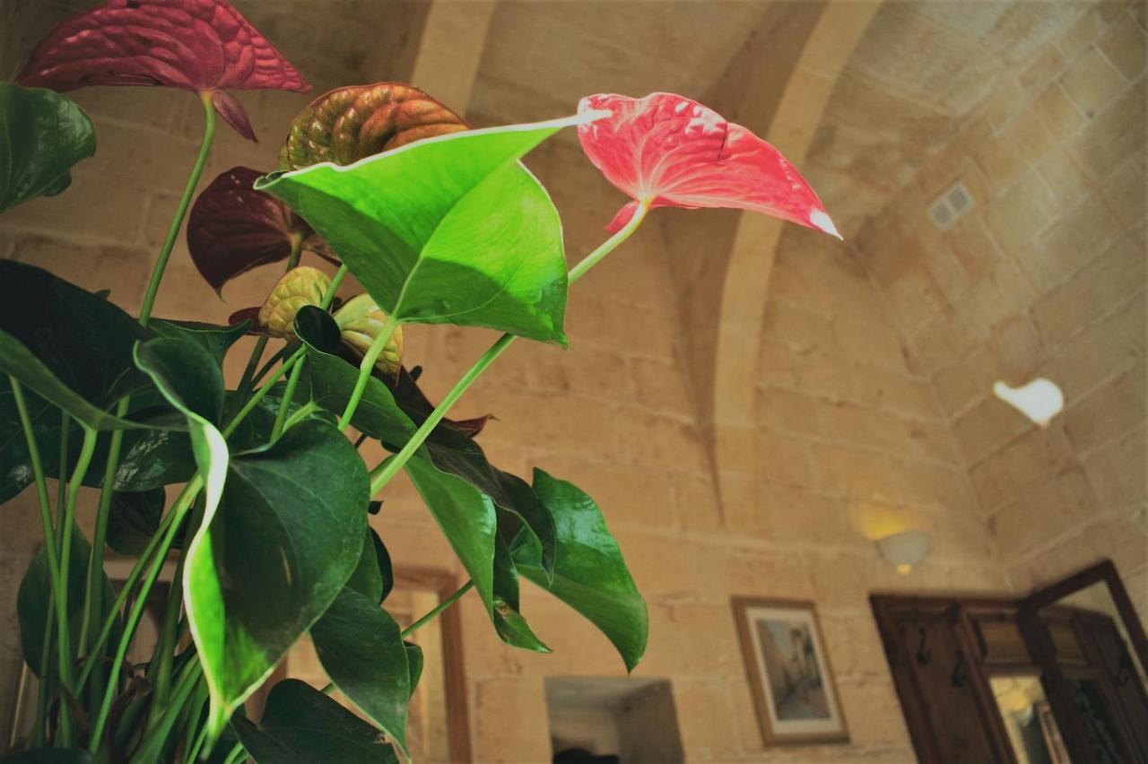 Encanto Vegetarian Bed & Breakfast Bed & Breakfast Xaghra Bagian luar foto